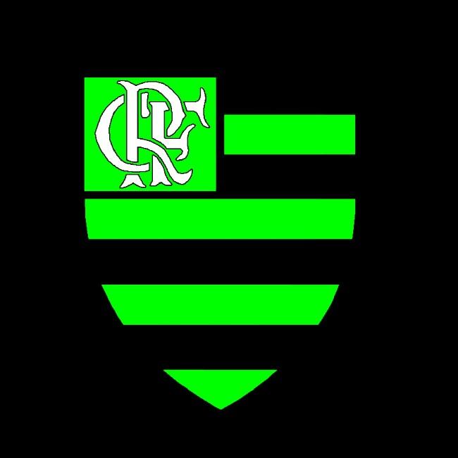 Flamengo da Amazônia