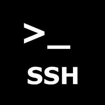 Shell Shockers (SSH)