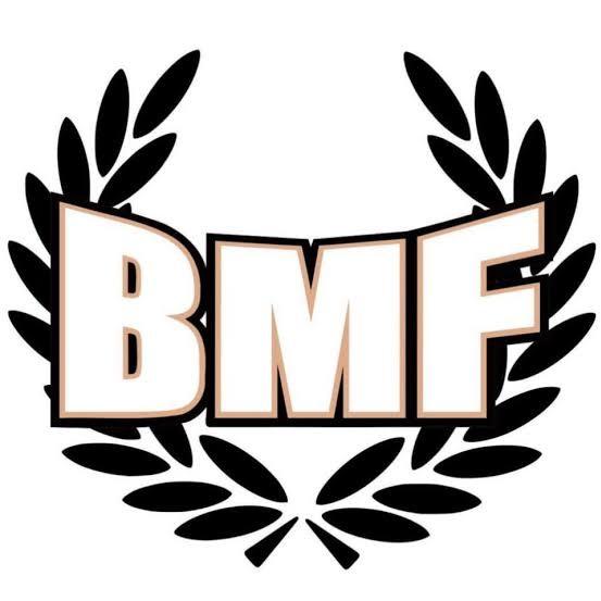 Boomerang Fury (BMF)