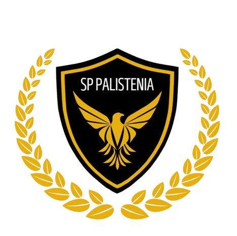 Deportivo Palestina