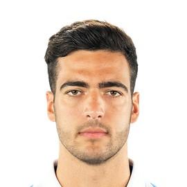 Merino