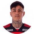 Erick Pulgar