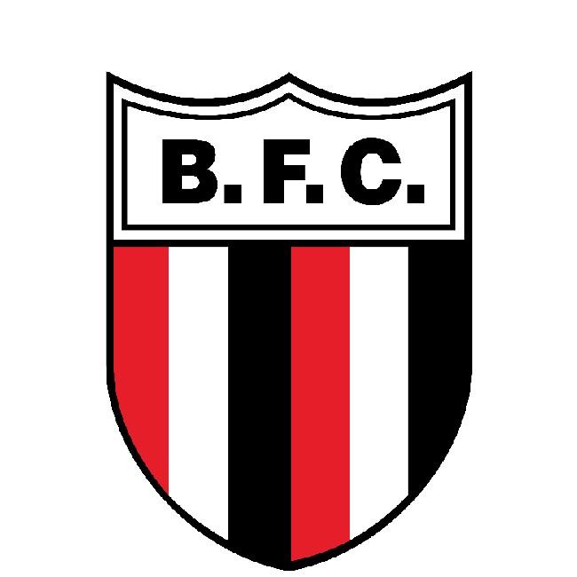 Botafogo-SP