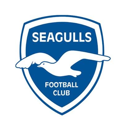 Seagulls FC-IGS