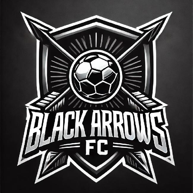 Black Arrows-ICO