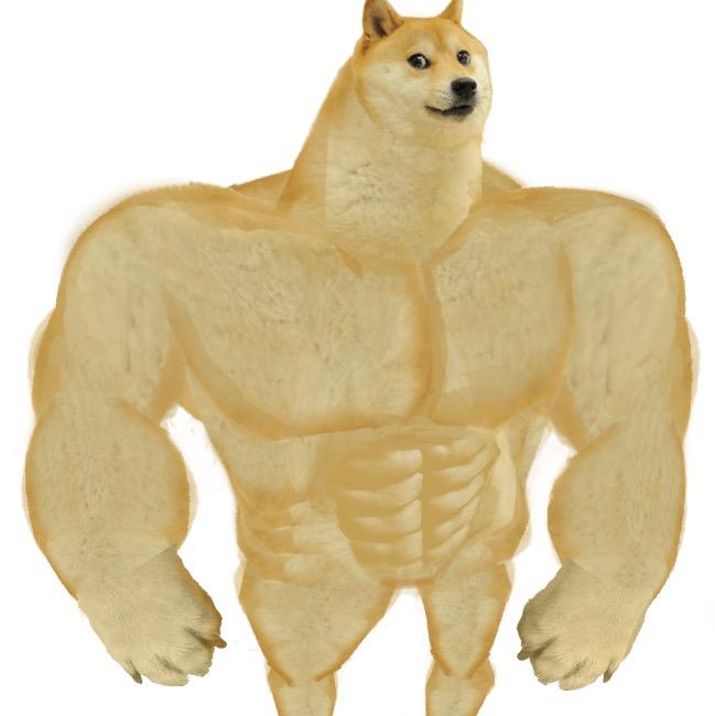 Prodoge