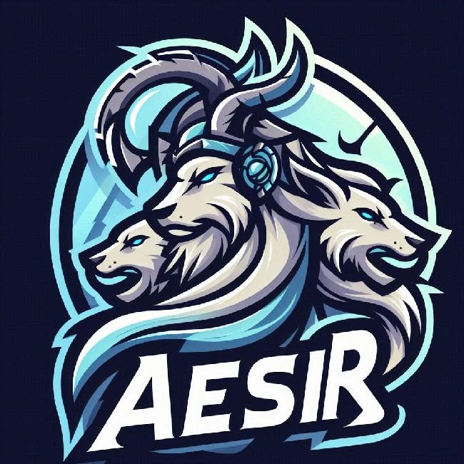 THE ÆSIR