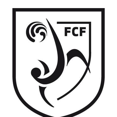 Lliga Elit