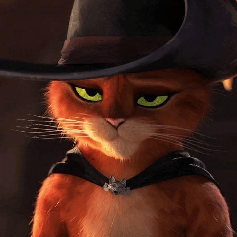 Gato de botas