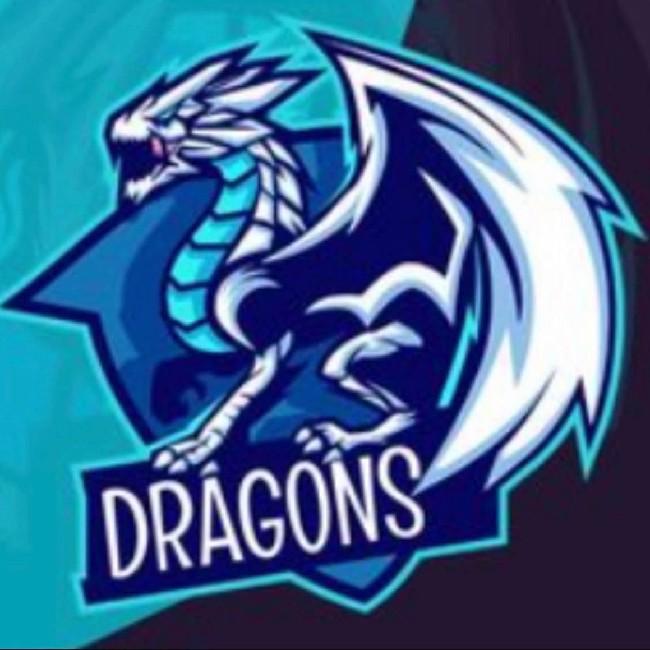 Blue dragons esport B