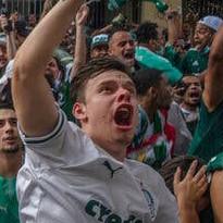Palmeiras Fanático