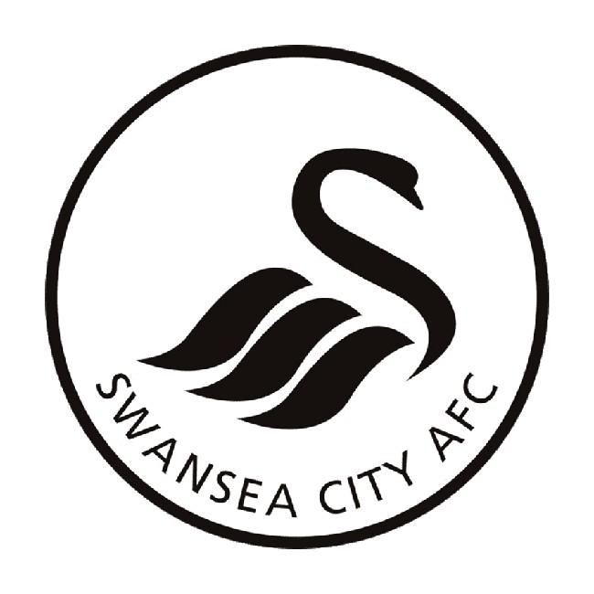 Swansea City-PGS