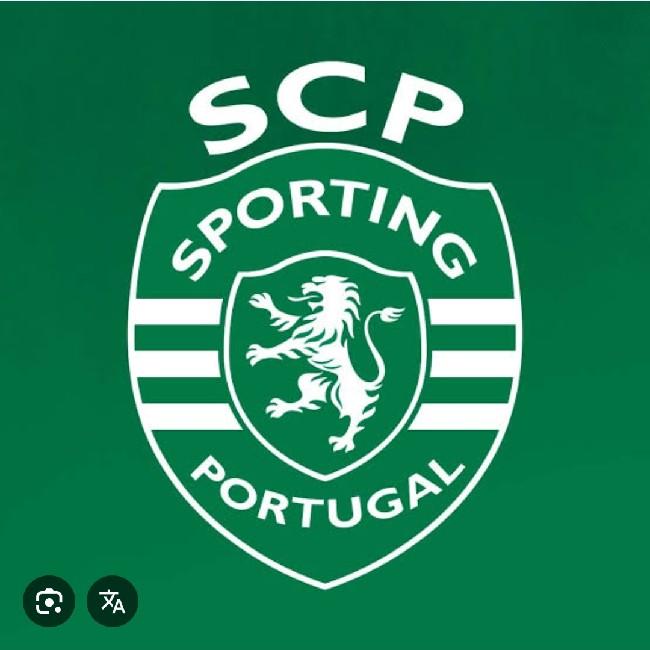 Sportig