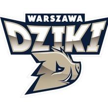 Dziki Warszawa