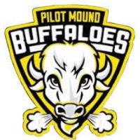 Pilot mound buffalo