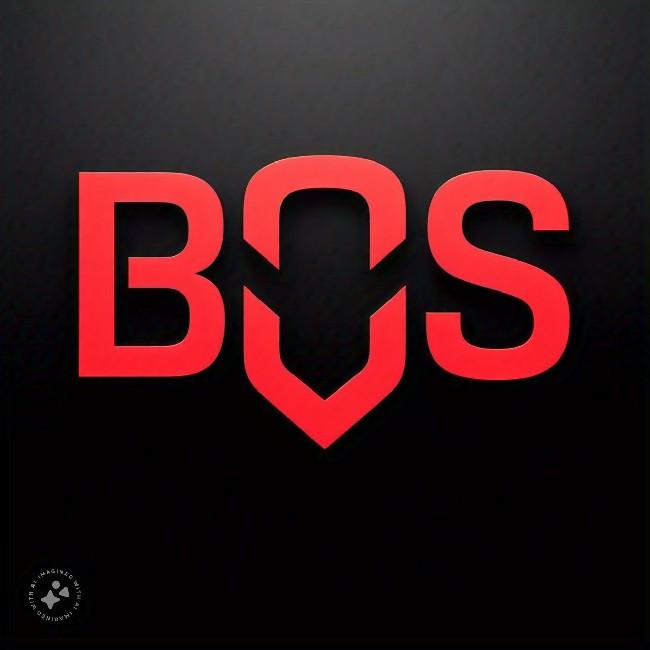 Boss boys