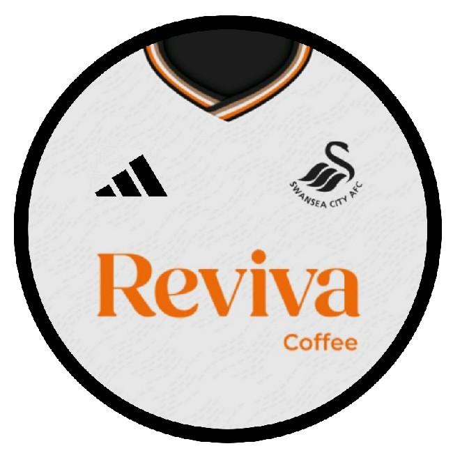 Swansea City