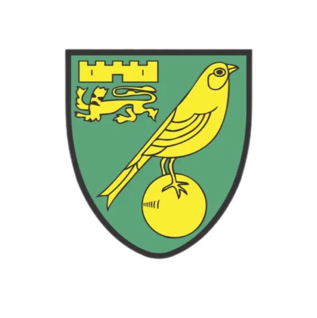 Norwich City (@mcronald_7)