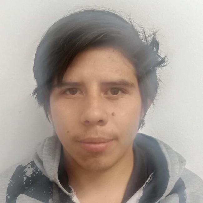 Ricardo Gonzalez garcia