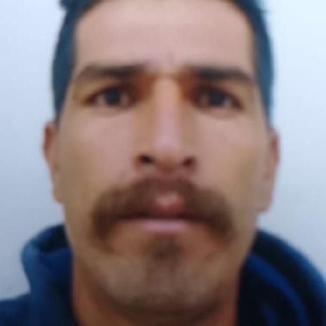Neri cerda cornejo
