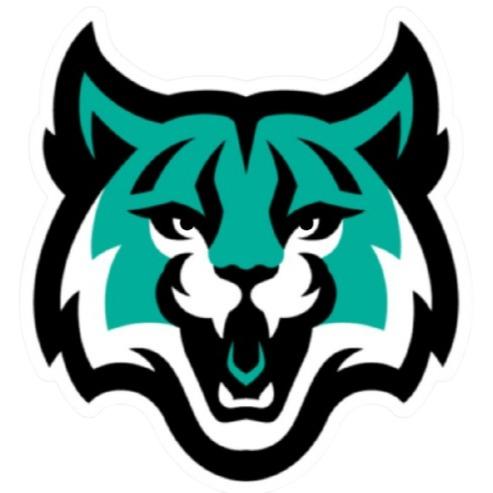Santa Fe Sand Cats