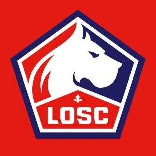 ᴄʟᴀᴜᴅɪᴏ ᴍɪᴛᴄʜᴇʟʟ LILLE