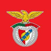 ᴘᴏʀᴛᴇʟᴀ BENFICA
