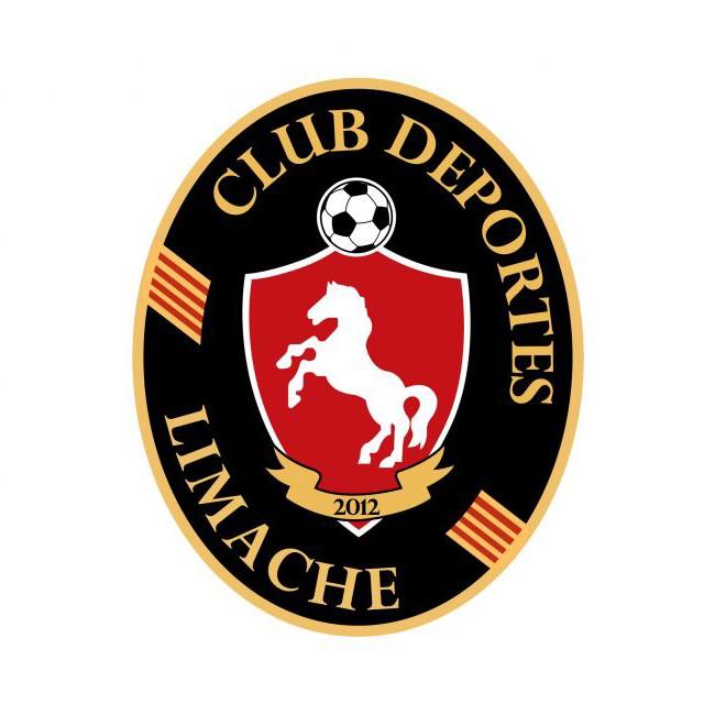 Deportes Limache
