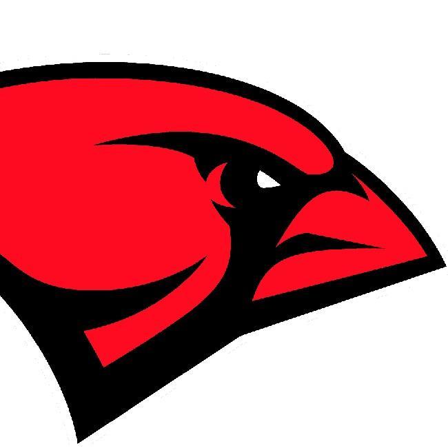 South Korean Chapbirds