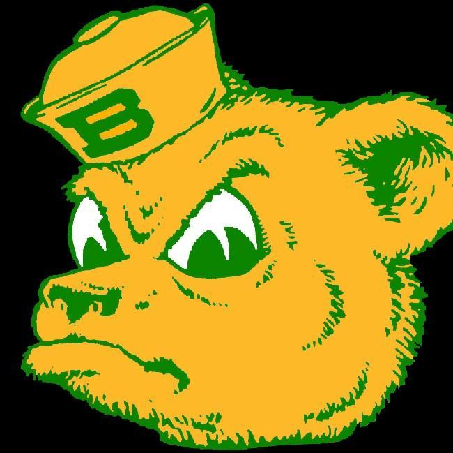 Brazil Bears