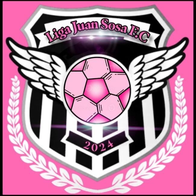 Liga Juan Sosa Fc