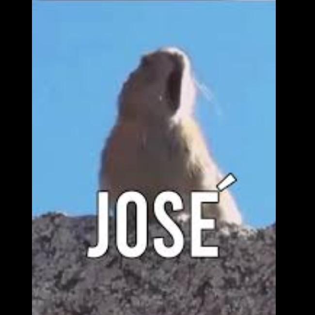 Jose