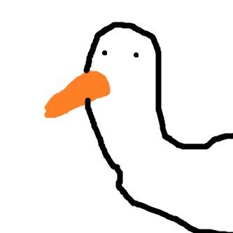 Duck FC