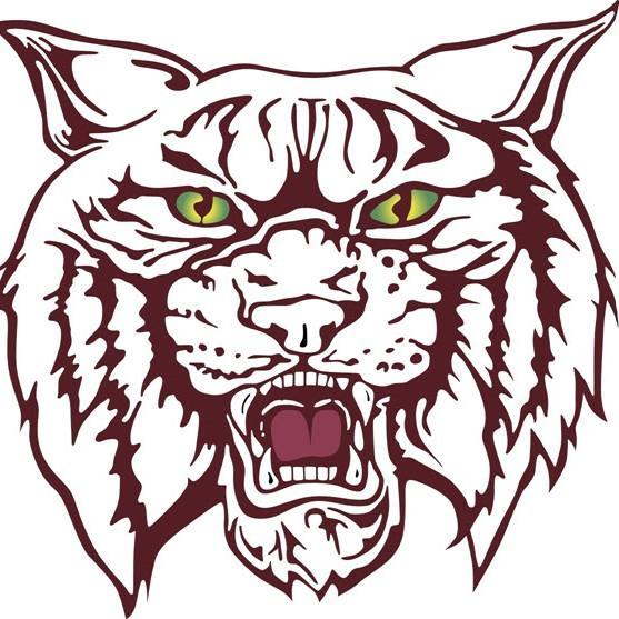 Chicago Wildcats