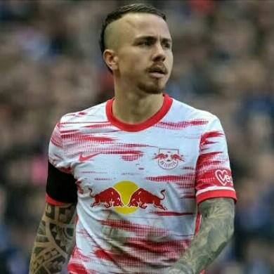 Angelino