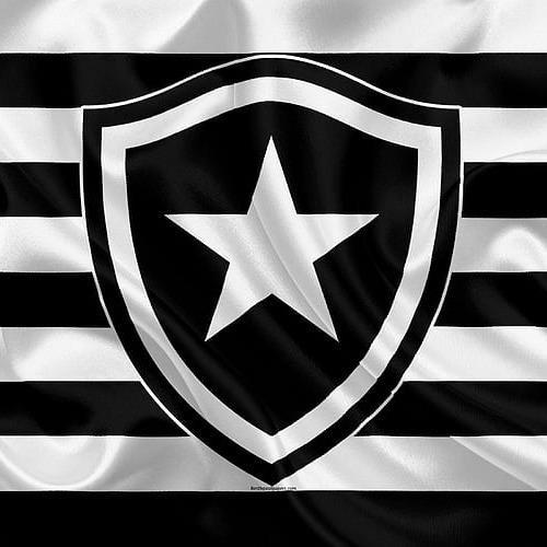 Botafogo de Futebol e Regatas