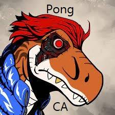 CA Pong