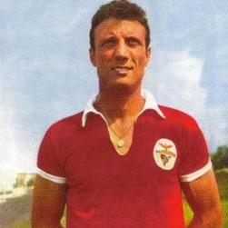 D.cavem