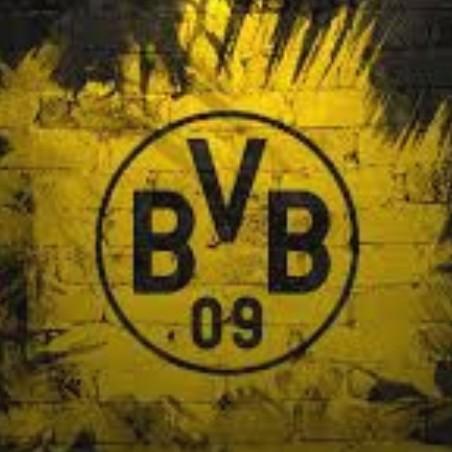 BORUSSIA DORTMUND