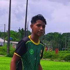 Pato