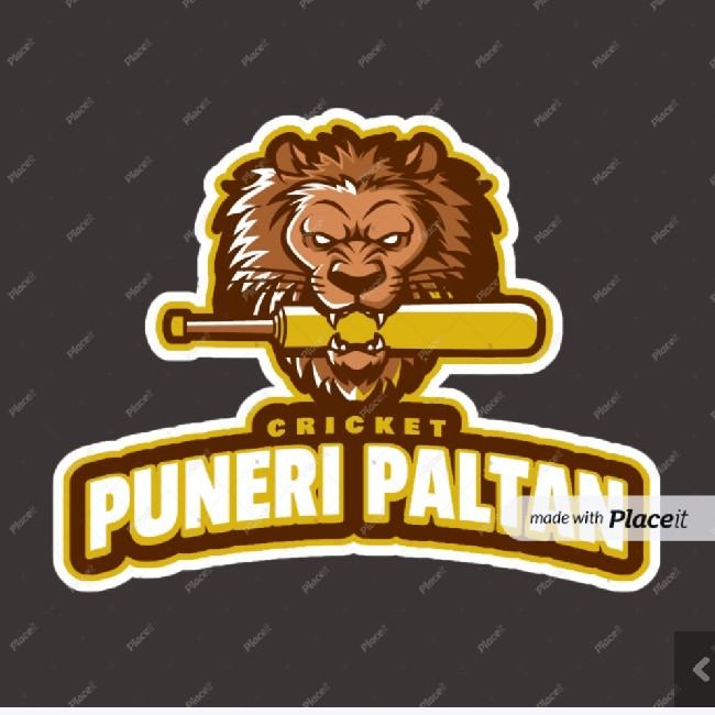 Puneri Paltan