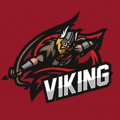 EFOOTBALL VIKINGS