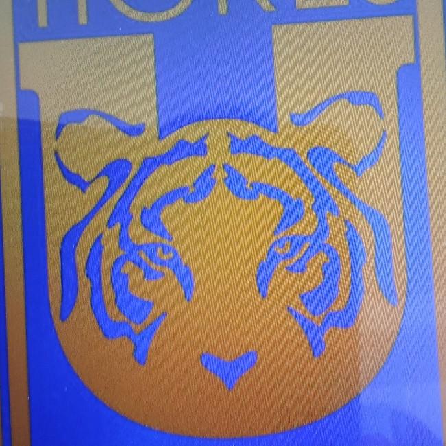 Tigres
