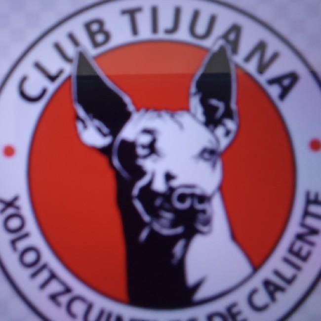 Tiguana