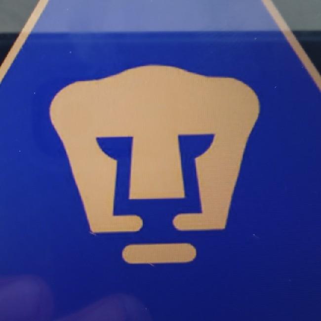 Pumas
