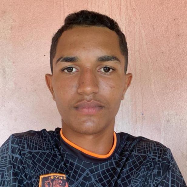 DANIEL FERREIRA SILVA
