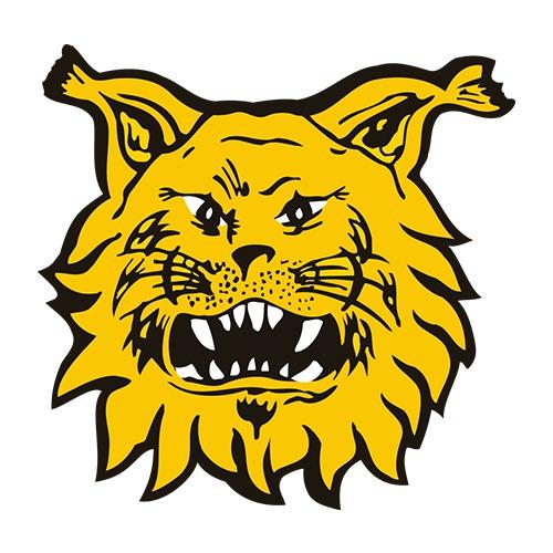 Tampereen Ilves