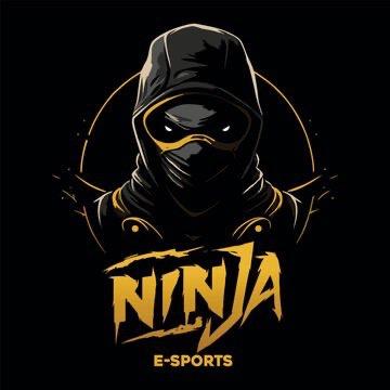 Net Ninjas