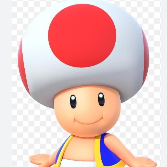 Toad🇳🇱