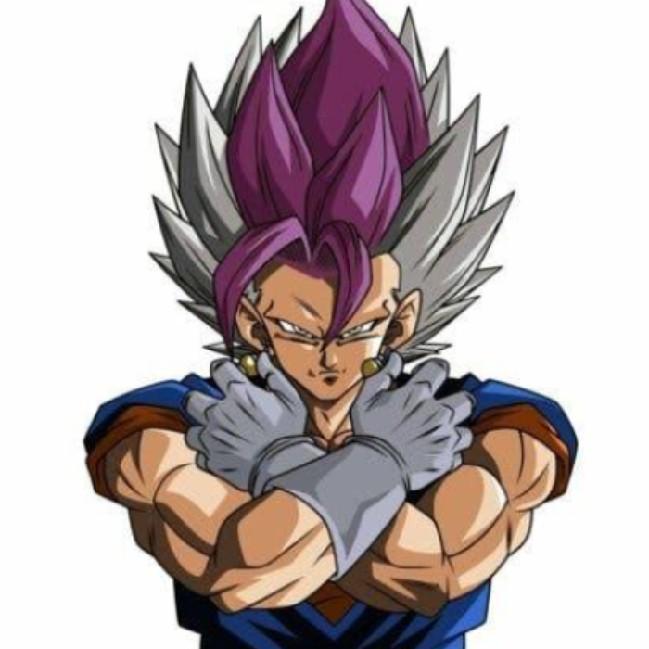 Vegeto Ultra Instinto🇧🇻